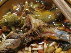 -红鼎坊·老成都火锅(新南门店)