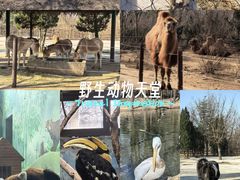 -济南野生动物世界