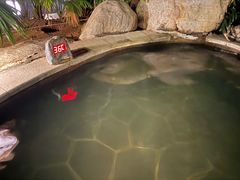 -郑州银基黄帝宫御温泉