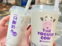 酸奶牛-八一路好吃街(雨田商务大厦店)