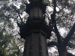 -普陀山风景名胜区-法雨禅寺