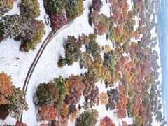 -五角枫生态旅游景区