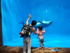 -华夏文旅海洋公园