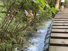 -桤木河湿地公园