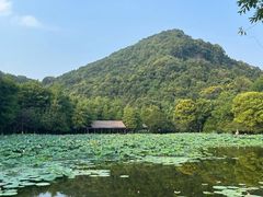 -八卦田遗址公园