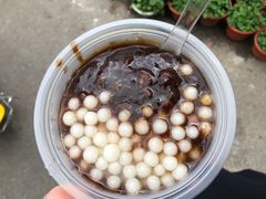 -潘玉麟糖粥