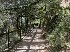 -抱龙峪