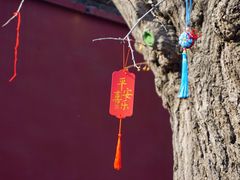-西安市广仁寺