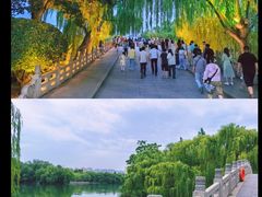 -济南大明湖景区