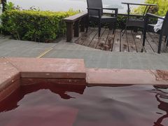 -天目湖涵田半山温泉