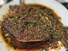 土匪鱼-土匪鱼酒店