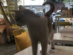 -五进制 Coffee Shop