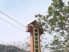 -海南槟榔谷黎苗文化旅游区