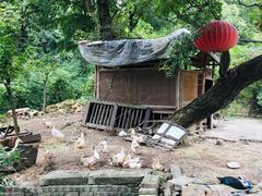 -宝岩生态观光园