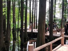 -东湖落雁景区