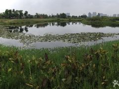 -眉山湿地公园(东坡区)