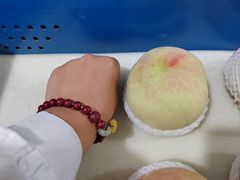 -老袁家蜜桃农场·阳山水蜜桃