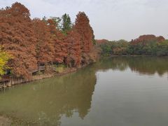 -东湖落雁景区