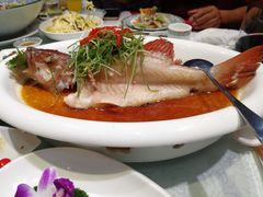 翅汤东星斑-金米箩大酒店(五角场店)