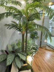 -八佰伴8008星级形象店