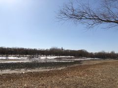 -北京麋鹿生态实验中心