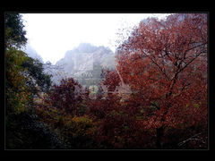 -大明山自然探索公园