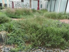 -春晖园度假酒店温泉