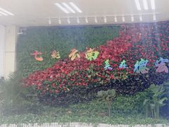 -德宏芒市国际机场