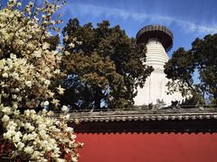 -妙应寺白塔