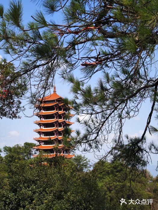 缙云山景区图片