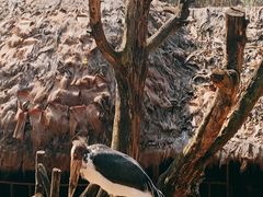 -云南野生动物园