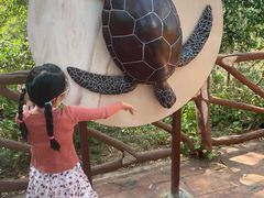 -广东惠东海龟国家级自然保护区