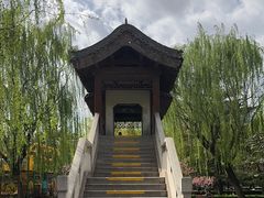 -团结湖公园