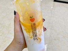 -潮汕良心果汁(金新北路店)