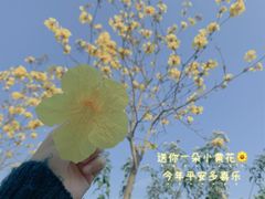 -中山公园