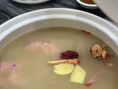-鸽鸟轩(石岐店)