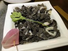 -杨家火锅(国美店)