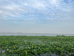 -七的湖·晚芳亭·阳澄湖农家菜·大闸蟹(莲花岛店)