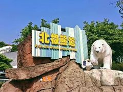 -海合安成都极地海洋公园