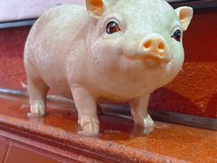 -猪角·闽南猪脚饭(茶亭店)