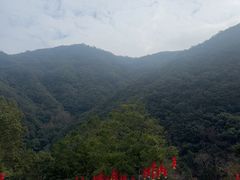 -雁荡山风景名胜区