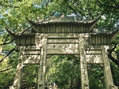 -灵岩山风景区