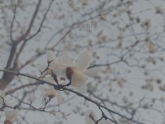 -天鹅湖体育公园
