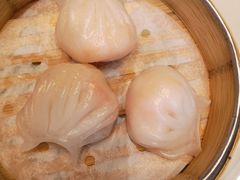 -VT101维多利广场
