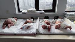 点击看大图 -海豚湾高端月子会所(黄浦店)