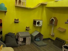 -房东的猫宠物生活馆