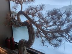 -华夏良子·足道SPA养生(上海崮山路明悦店)