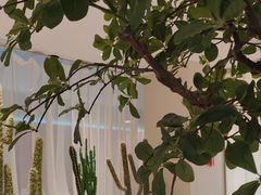 -悦海·家宴·冰花皮皮虾大锅贴(宝龙店)