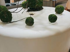 -枕水江南(铁西万象汇店)