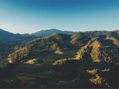 -紫鹊界梯田景区